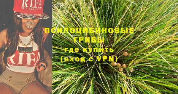 бошки Алзамай