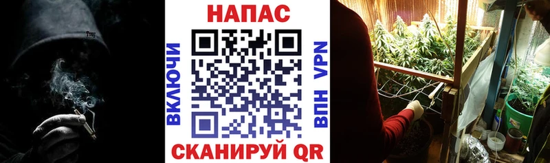 Купить где  Борисоглебск  Марихуана ГИДРОПОН 